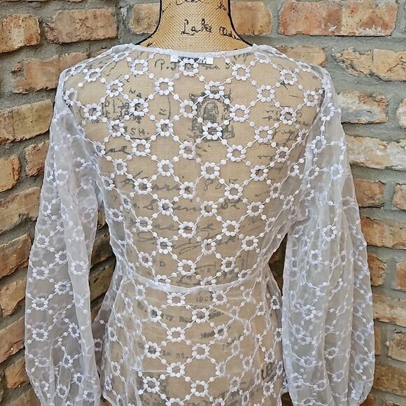 Zara sheer Pale Lavender Embroidered Whimsigoth top size Medium - Picture 6 of 9